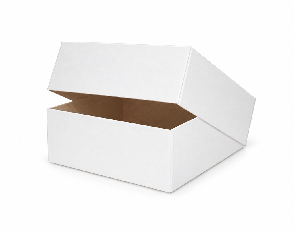 [00-2928] Carton pliant - boites a gateau carton blanc petit