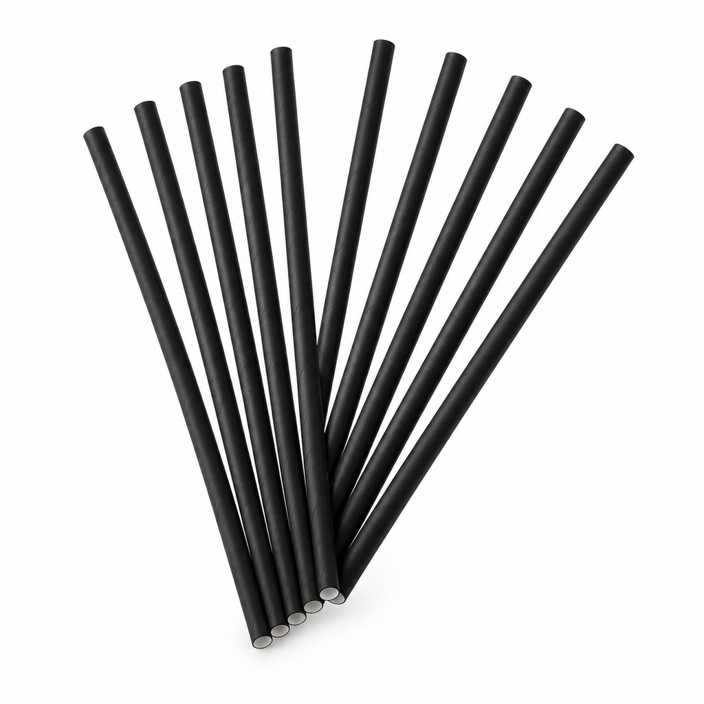 [00-3055] Pailles - noir 6/210 mm carton FSC