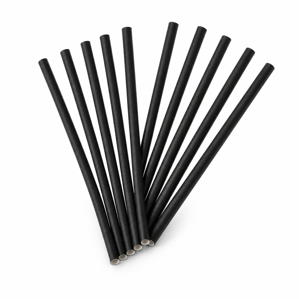 [00-3056] Pailles - noir 8/210 mm carton FSC
